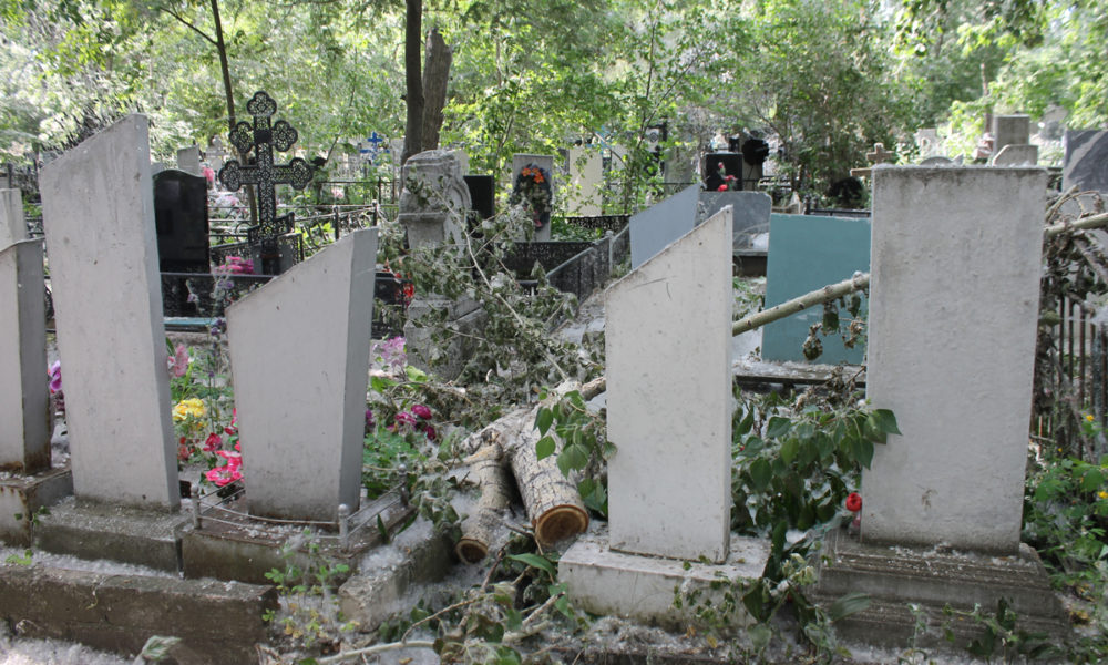 Людмила Бажова пришла в ужас, когда увидела, в каком состоянии оказались могилы родственников, поврежденные огнём