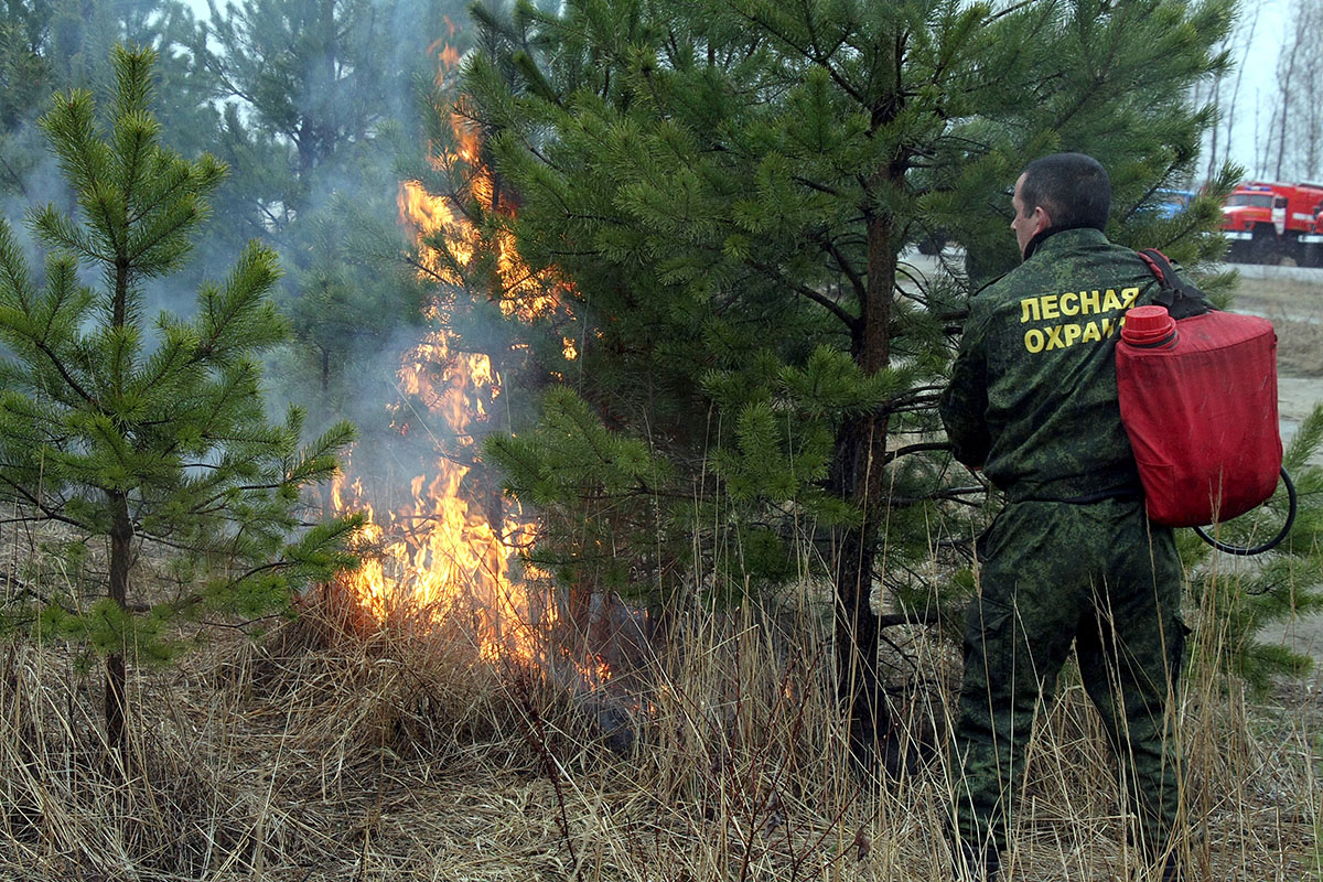 Каслинское лесничество предупреждает: пожароопасный сезон в лесах не закончился!
