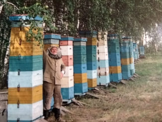 Каслинский пчеловод приобрел опыт с годами совсем не сладкой жизни