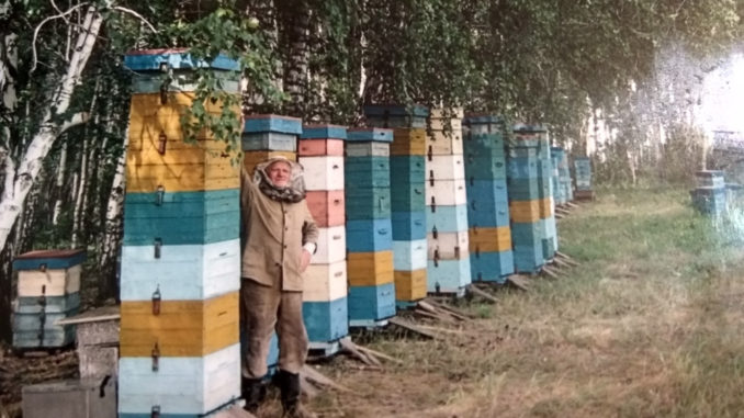 Каслинский пчеловод приобрел опыт с годами совсем не сладкой жизни