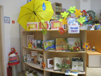 Детская библиотека Каслинского района прошла региональный отбор на получение гранта «Цифровая библиотека»