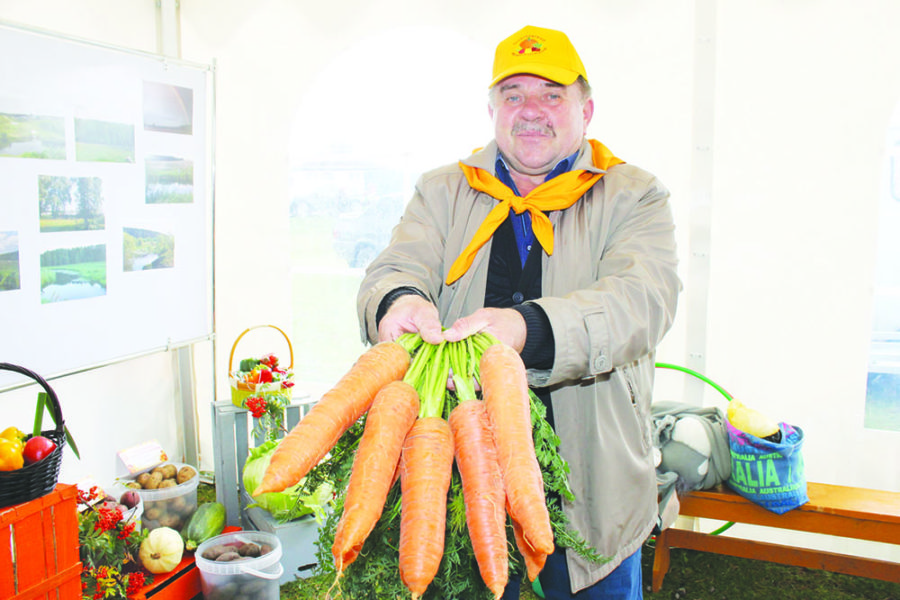 Александр Половинка демонстрирует морковь-великан, которая выросла на даче Григория Цукермана в Шабуровскомпоселении